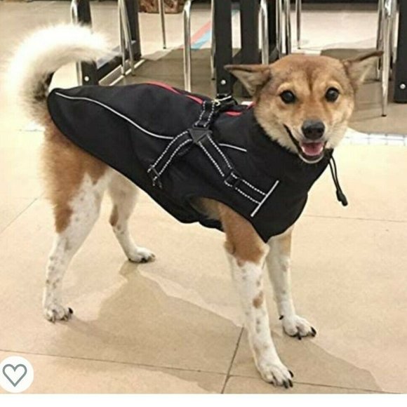 Petilleur Dog Jacket For Medium Sized Dogs With Harness - Picture 7 of 8